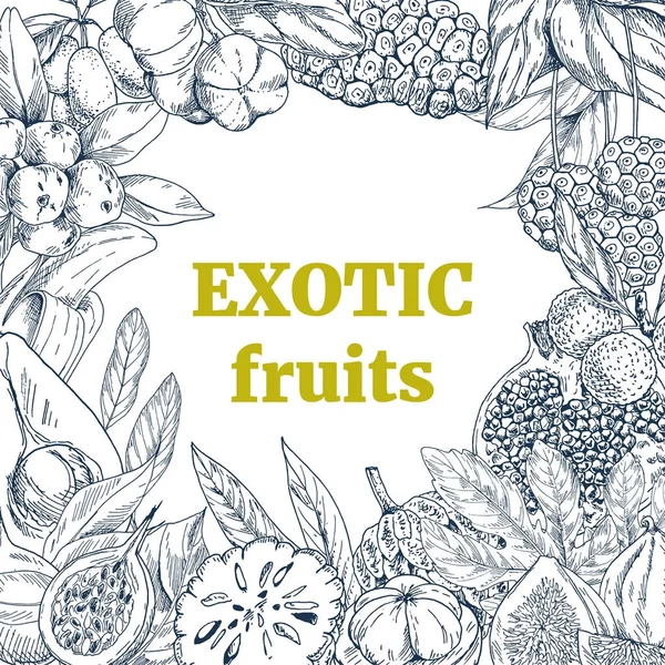 Frutas exóticas, quadro quadrado —  Vetores de Stock