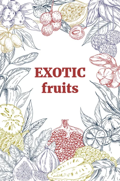 Frutas exóticas, quadro vertical —  Vetores de Stock