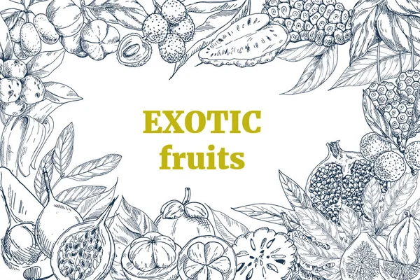 Egzotikus gyümölcsök, tájkép váz — Stock Vector