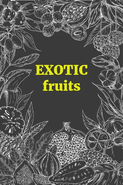 Egzotikus gyümölcsök, függőleges keret — Stock Vector