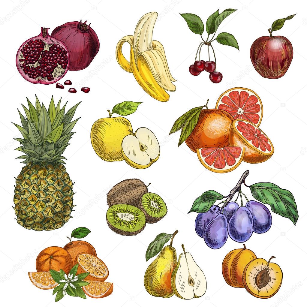 Fruits. Cherry, apples, pear, plums, apricots, grapefruit, kiwi, pomegranate, pineapple.