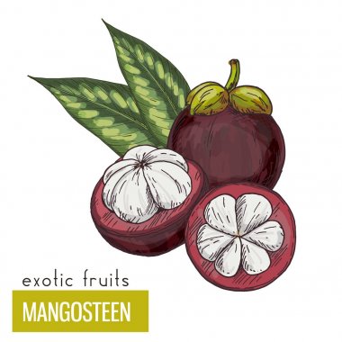 Mangosteen yaprakları ile