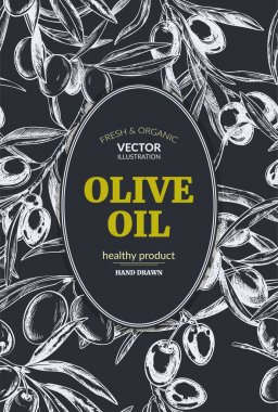 Zeytin dalı, el çekilmiş retro tarzı vektör çizimler.