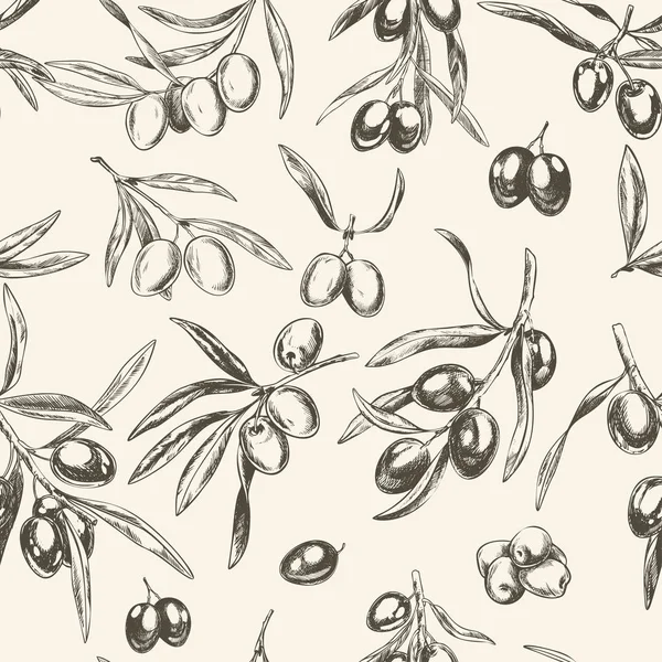 Оливковые ветви, нарисованные вручную векторные иллюстрации в стиле ретро . — стоковый вектор