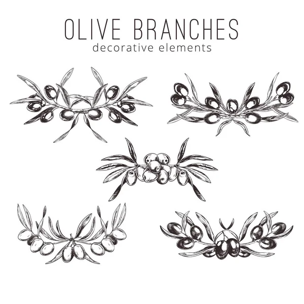 Oliven grene, håndtegnede retro stil vektor illustrationer . – Stock-vektor
