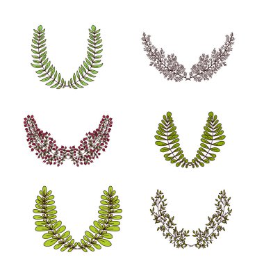 Vektör yeşil branş çerçeve seti, tasarım elemanları
