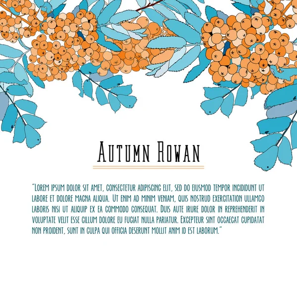 Rowan-berry pozadí pro text, modrá a oranžová — Stockový vektor
