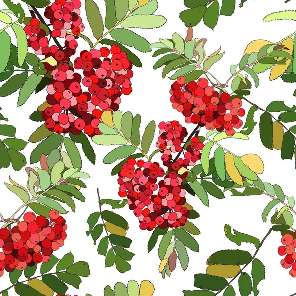 Beautiful color seamless pattern with red berries — Stock Vector