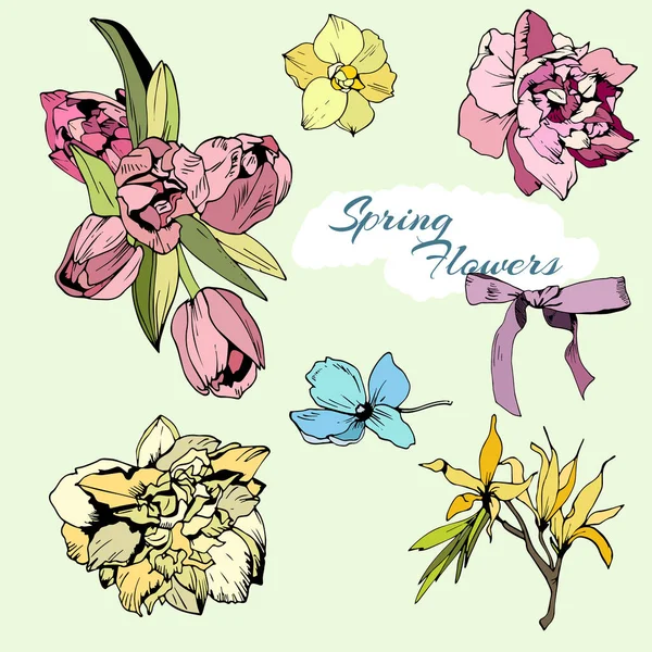 Ensemble coloré de fleurs printanières, tulipes et narcisse — Image vectorielle