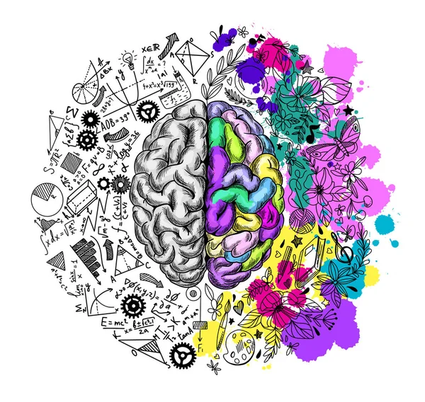 Cerebro dibujado a mano, semisferios izquierdo y derecho — Archivo Imágenes Vectoriales