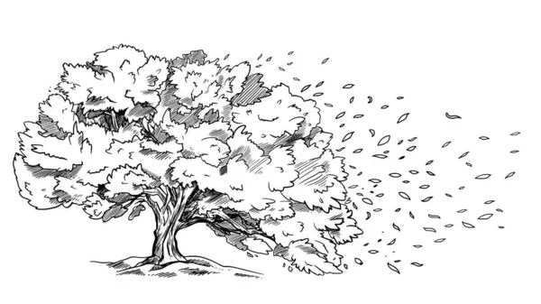 Рассеянное по ветру дерево, листья текут — стоковый вектор