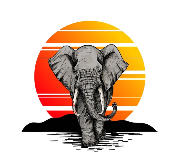 Elefante Bic, vista frontal, pôr do sol no fundo — Vetor de Stock