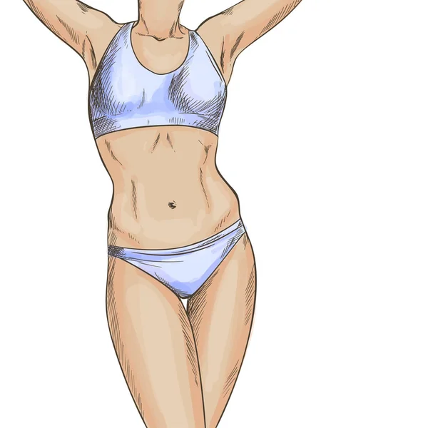 Slim corpo donna in lingerie bianca, immagine ritagliata — Vettoriale Stock