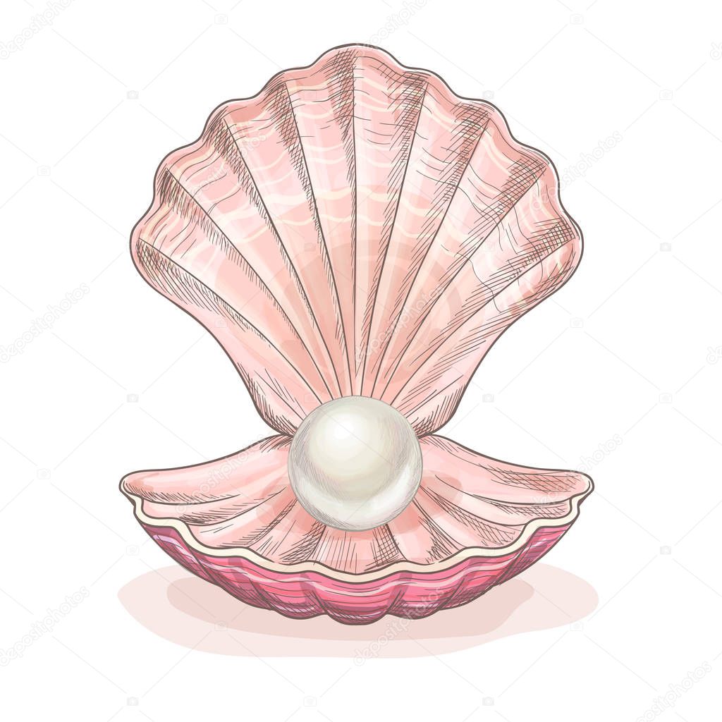 White pearl in the opened clam, pink seashell