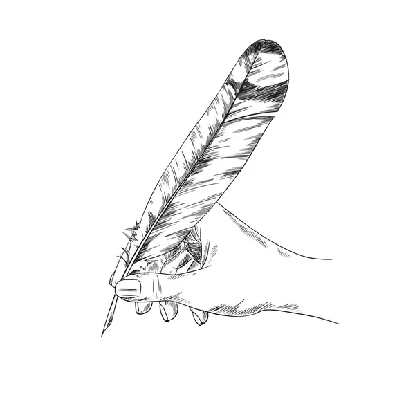 Vrouwelijke handschrift met ganzenveer, schets hand getekend — Stockvector
