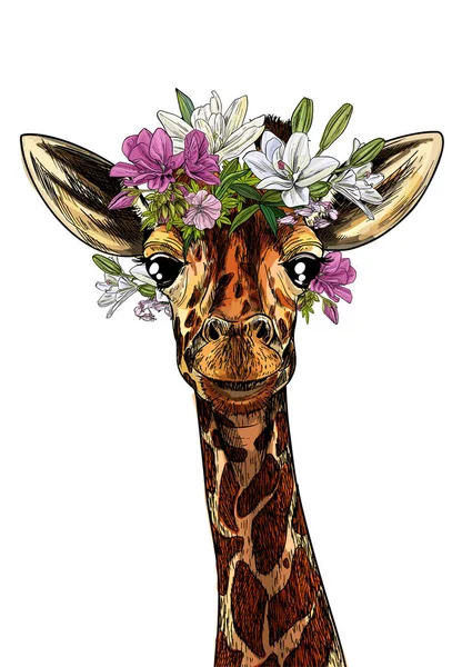 Portret van schattige giraffe met bloemen op zijn hoofd — Stockvector