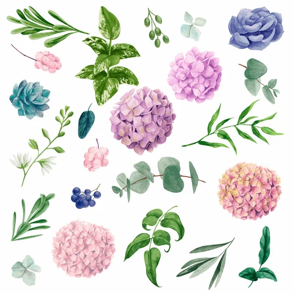 Watercolor vector set of flowers and leaves — Stock Vector