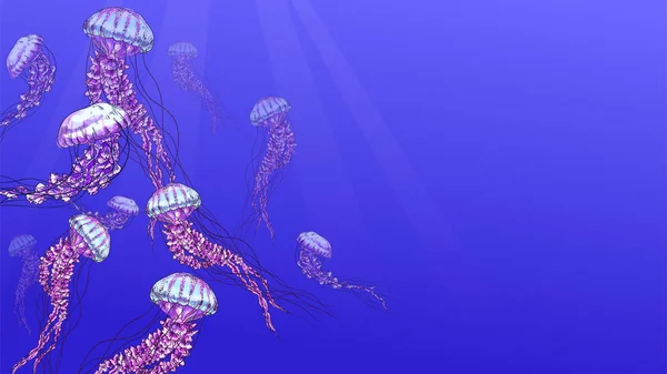 Медузи у воді, синій фон, повнокольорова ілюстрація — стоковий вектор