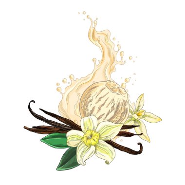 Vanilya çiçekleri, fasulyeler, dondurma ve dondurma.