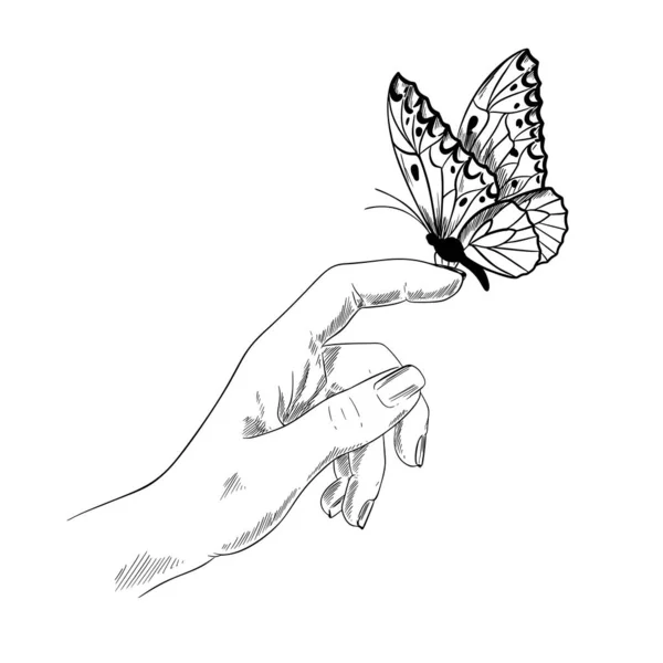 Butterfly on finger, girl hand, ink sketch — Stock Vector