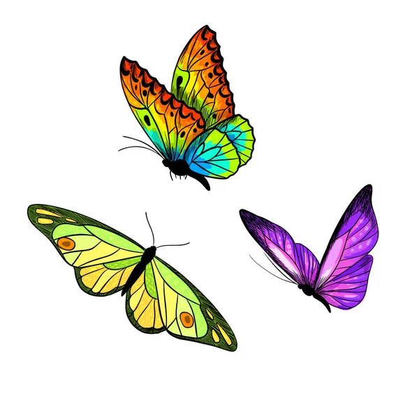 Set di tre farfalle luminose, schizzo a colori — Vettoriale Stock