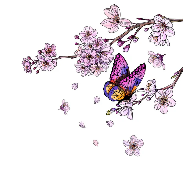 Papillon violet sur la branche sakura avec des fleurs — Image vectorielle