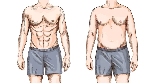 Dois homens corpos, em forma e gordura, esboço a cores —  Vetores de Stock