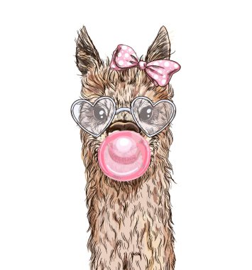 Portrait of the cute alpaca with pink bubble gum clipart