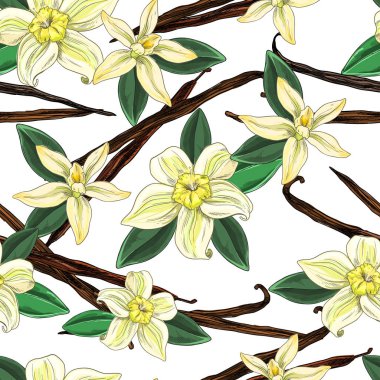 Çiçekli ve yapraklı vanilyalı fasulye, pürüzsüz desen.