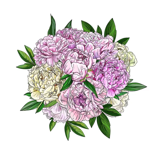 ピンク牡丹の花束、トップビュー、フルカラー現実的なスケッチ — ストックベクタ