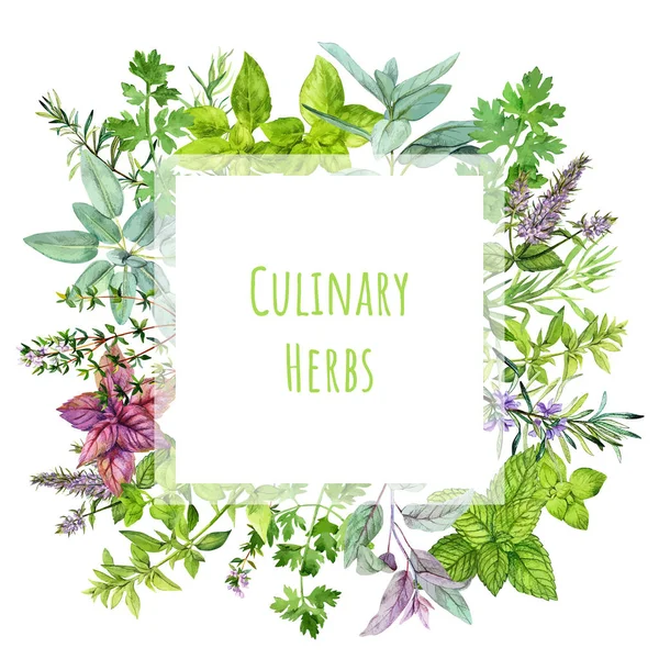 Square banner with watercolor kitchen herbs and plants — Stok Vektör