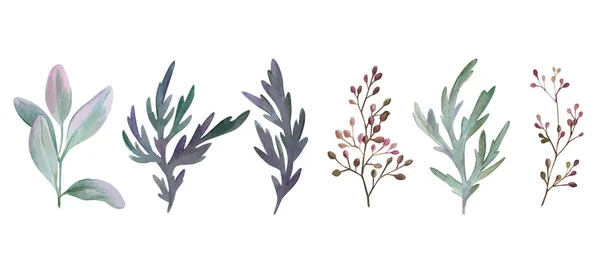 Set of watercolor leaves and branches, hand drawn — Stok Vektör