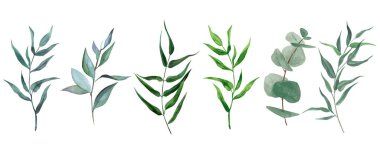 Set of watercolor leaves and branches, hand drawn 