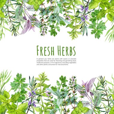 Seamless borders with watercolor kitchen herbs and plants clipart