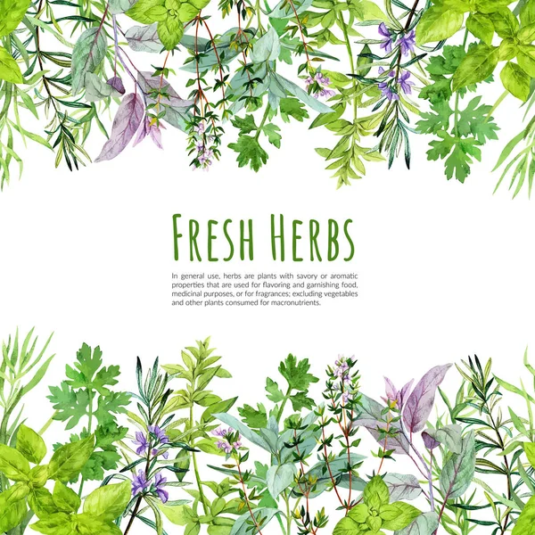 Seamless borders with watercolor kitchen herbs and plants — ストックベクタ