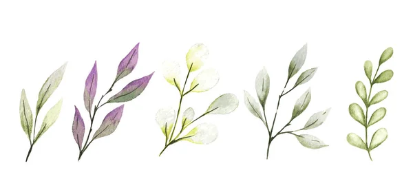 Folhas e ramos de aquarela, bagas, pequena coleção flora delicada — Vetor de Stock