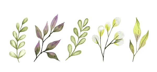Aquarel bladeren en takken, bessen, kleine delicate flora colllection — Stockvector