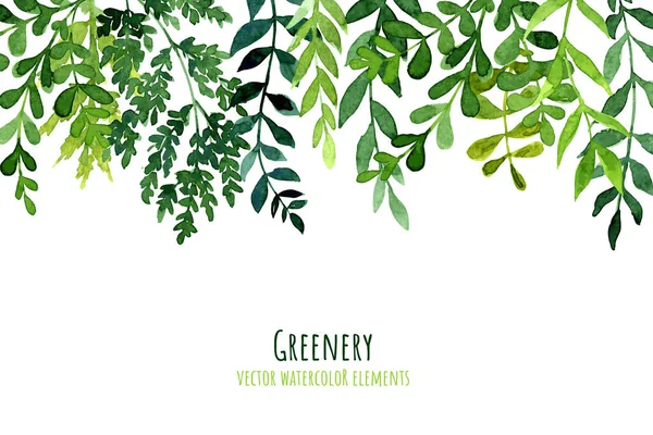 Yeşillik damla başlığı, suluboya botanik arkaplan, yapraklar ve dallar — Stok Vektör