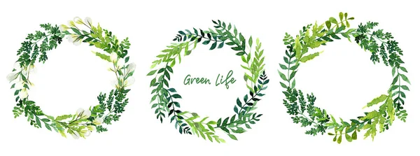 Set di tre ghirlande verde acquerello, foglie disegnate a mano — Vettoriale Stock