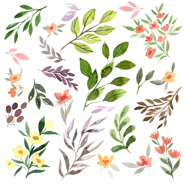 Tiny delicate flora, watercolor flowers, leaves and branches. — Stock Vector
