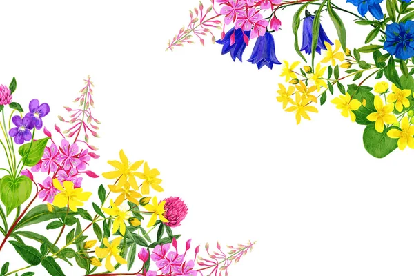 Akvarell mező virágok, élénk színek, sarokkeret — Stock Vector