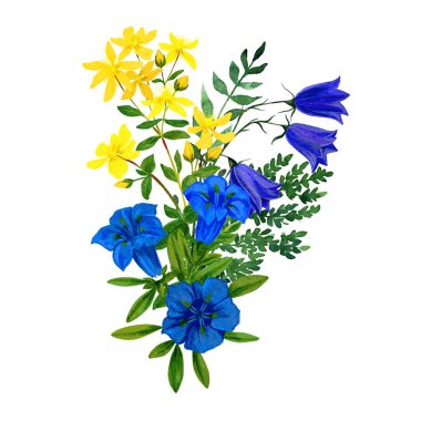 Yabani çiçek buketi, mavi ve sarı renkler, St. Johns Wort Gentian