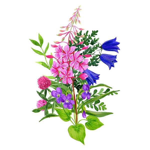 Wilde bloemen boeket, roze en blauwe tinten, fireweed en bellflowers — Stockvector