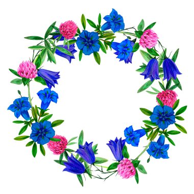 Yonca ve centilmence çizilmiş kır çiçekleri.