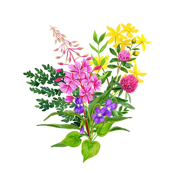 야생 꽃 꽃다발, 손으로 그린 수채화. — 스톡 사진