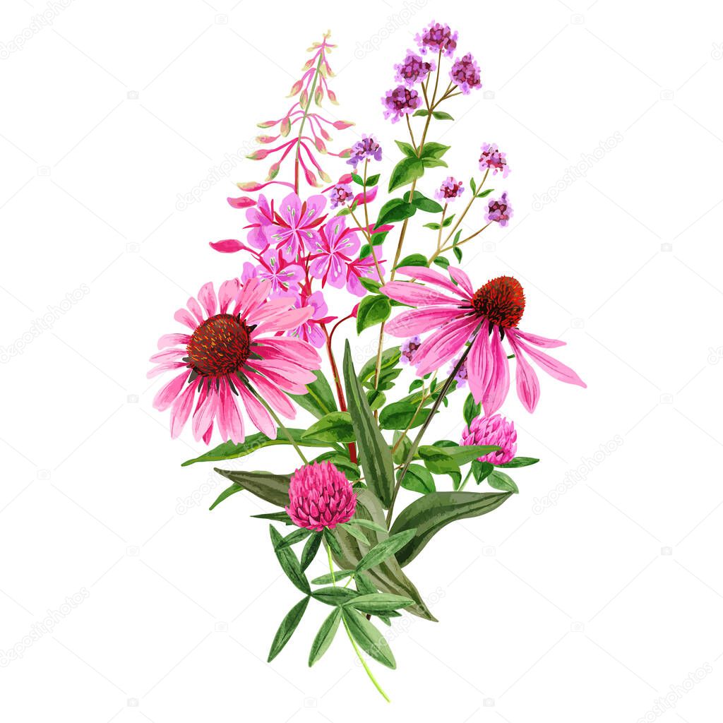 Wild field pink flowers bouquet, hand drawn vector
