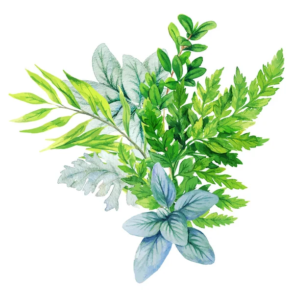 Bouquet décoratif de verdure, composé de feuilles vertes fraîches — Image vectorielle