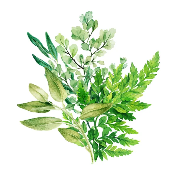 Bouquet decorativo verde, composto da foglie verdi fresche — Vettoriale Stock