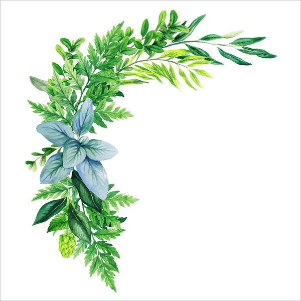 Πράσινο διακοσμητικό μπουκέτο, που αποτελείται από φρέσκα πράσινα φύλλα — Διανυσματικό Αρχείο