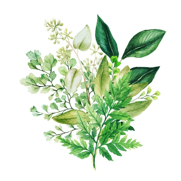 Buchet de acuarelă din plante cu ferigi și adiantum — Vector de stoc